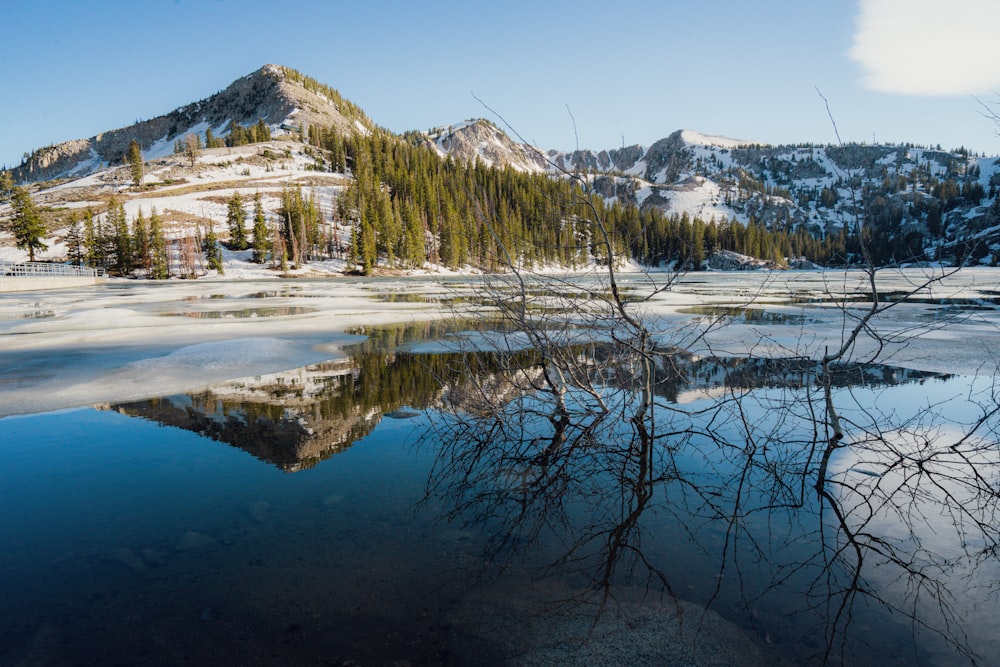 a lake surrounded by snow covered mountains and trees