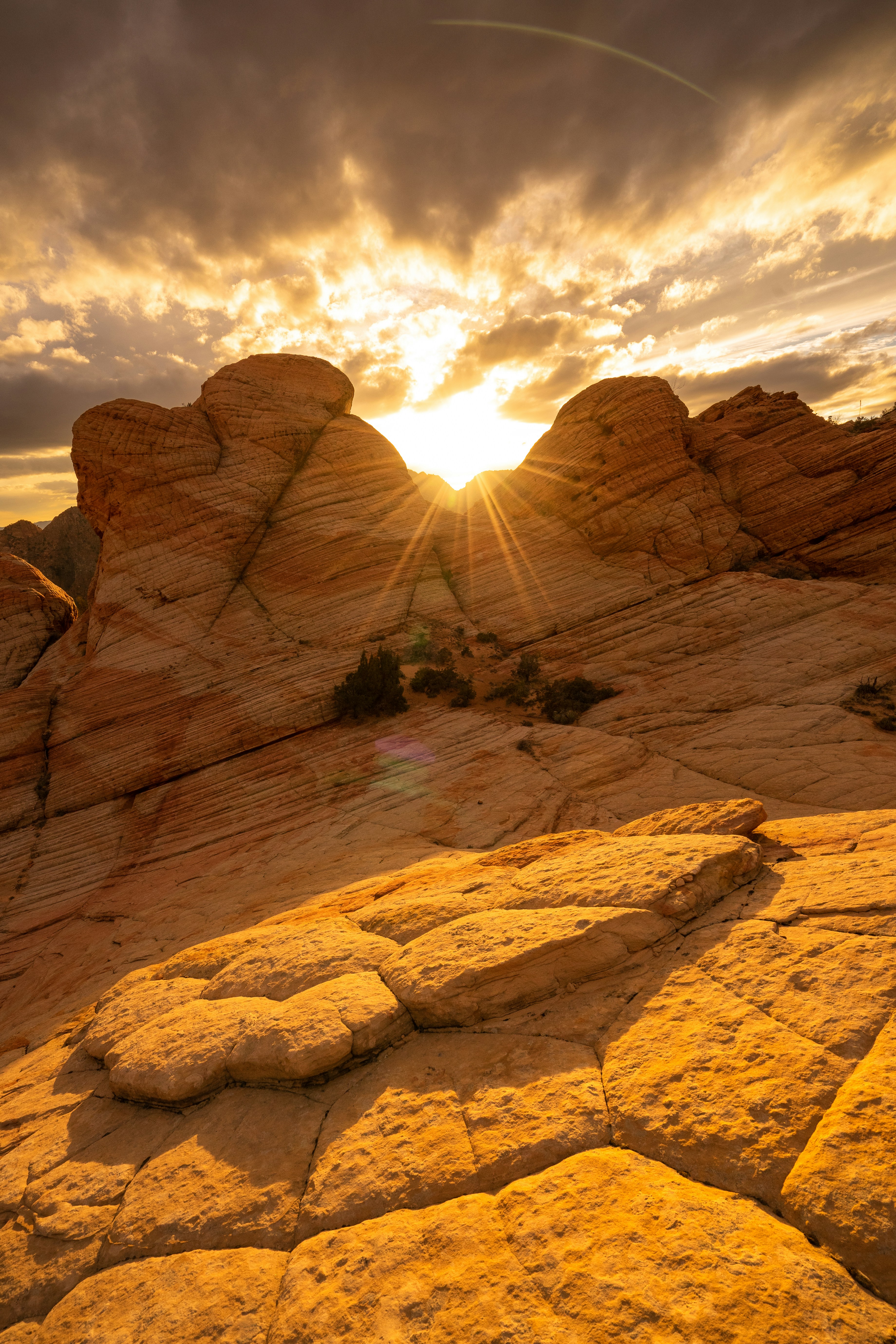 Photo by pics_by_harry