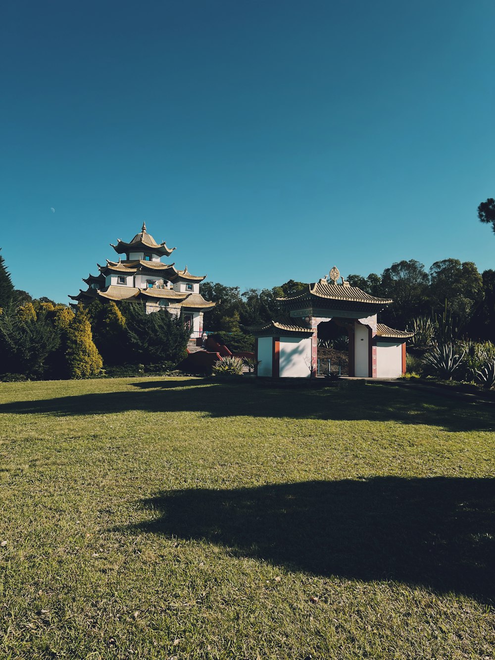 a grassy field with a building in the background