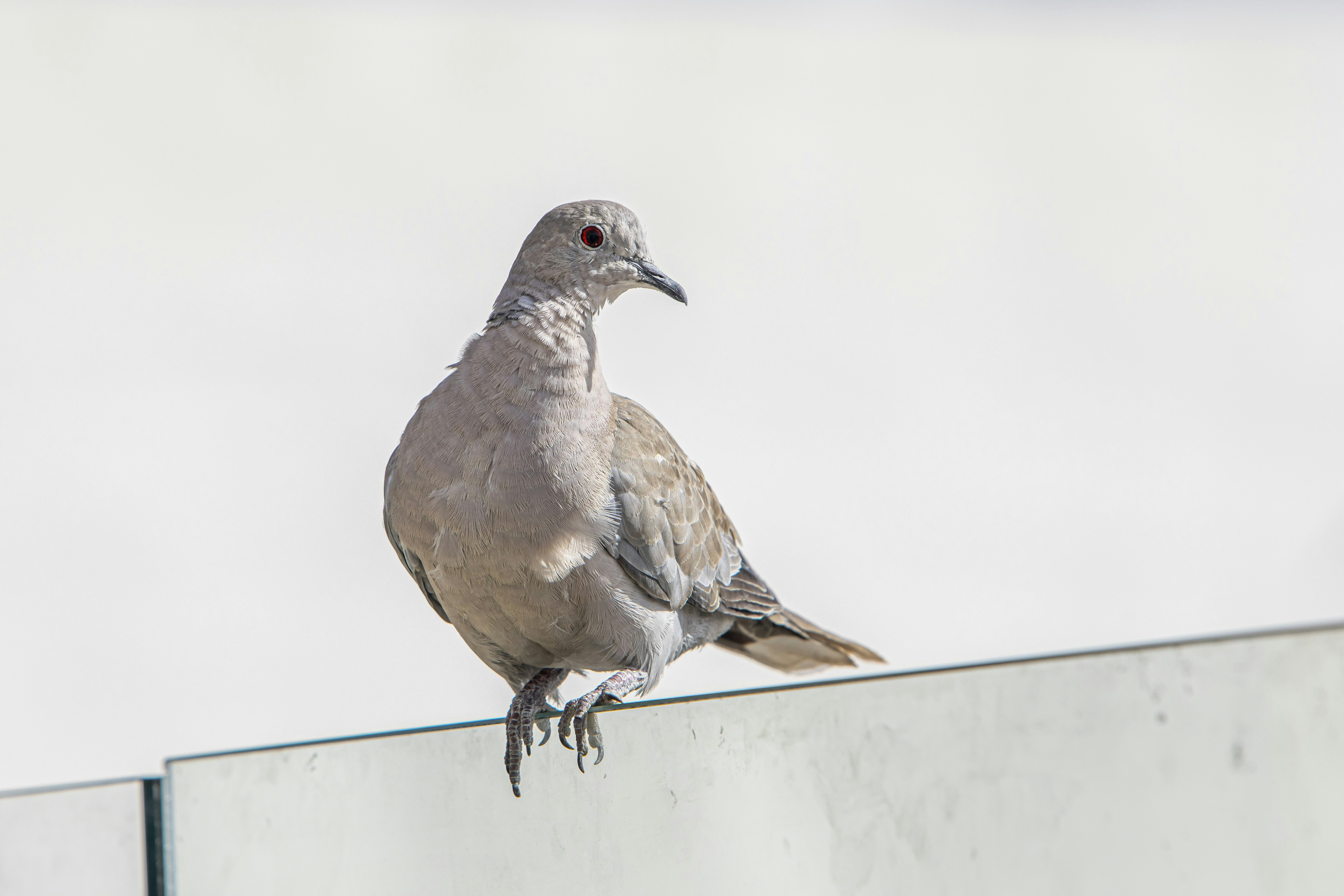 Photo by erik_karits