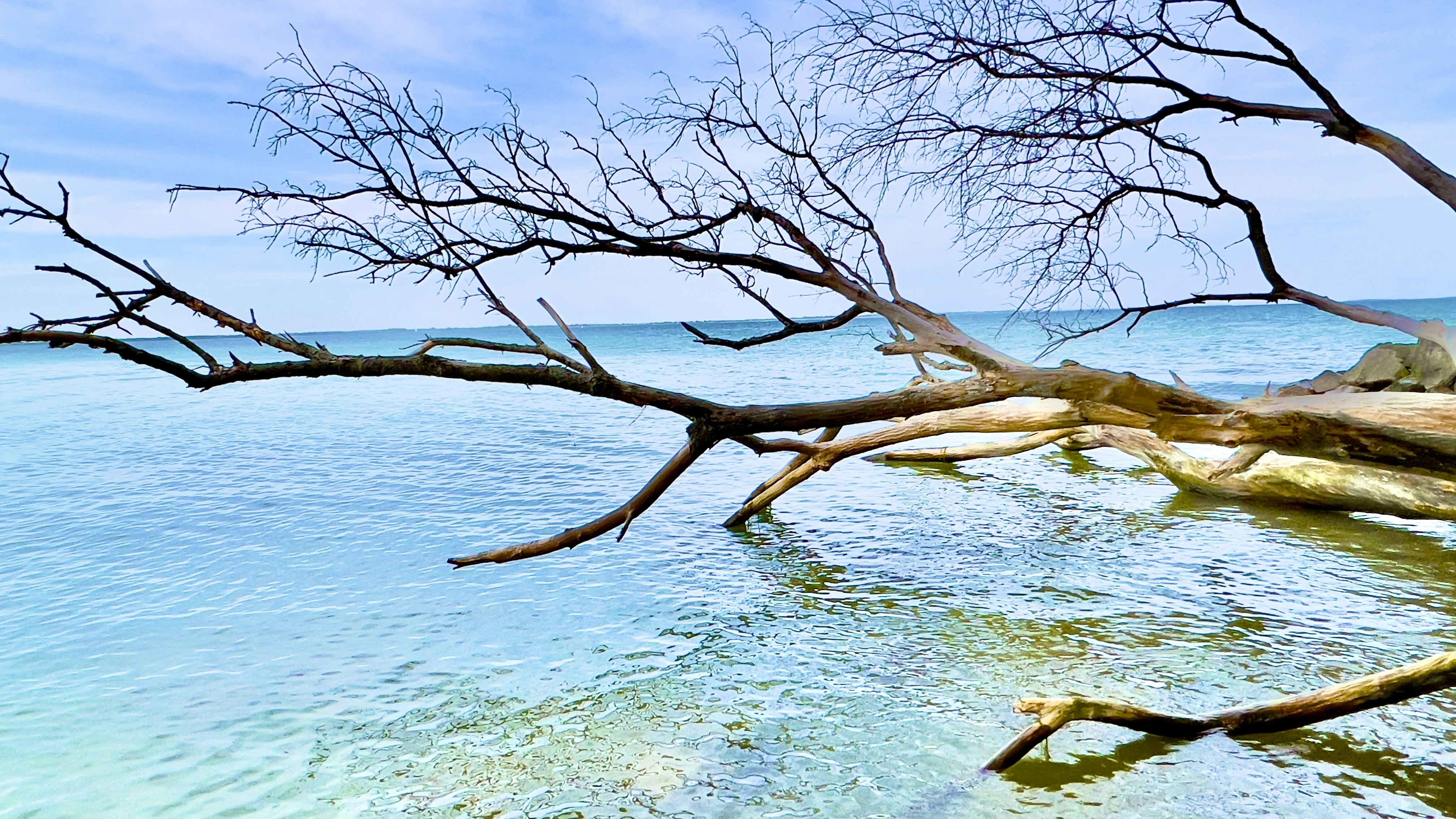 Photo by originalgod