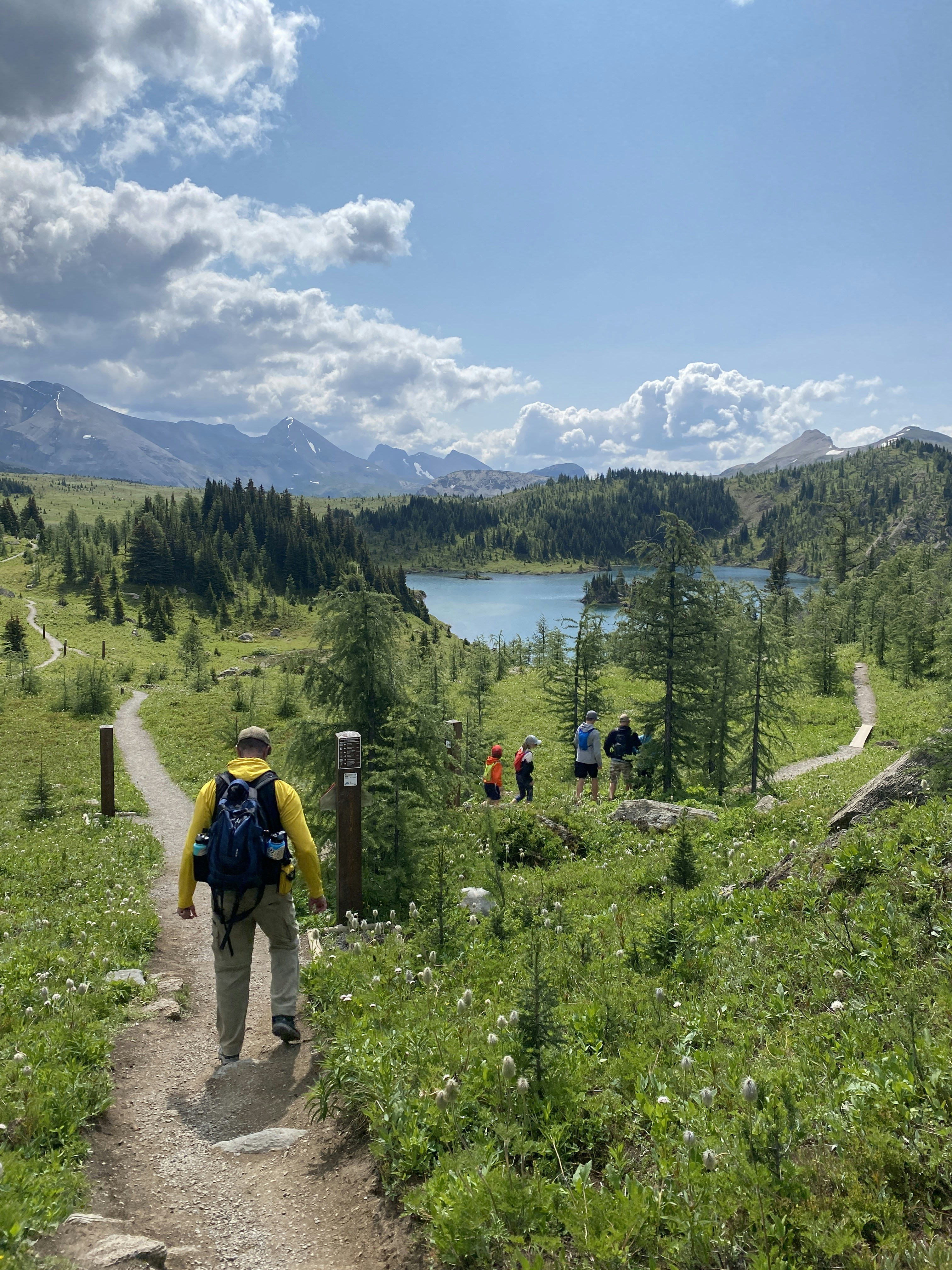 a group of people hiking up a trail