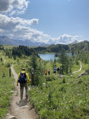 A person with a backpack walks down a dirt path surrounded by lush greenery and wildflowers. In the distance, a small group of hikers gathers near a lake. Towering mountains with snow-capped peaks rise beyond the forested hills, under a sky dotted with fluffy clouds.