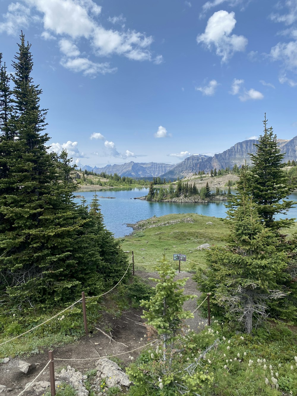 a scenic view of a lake surrounded by trees