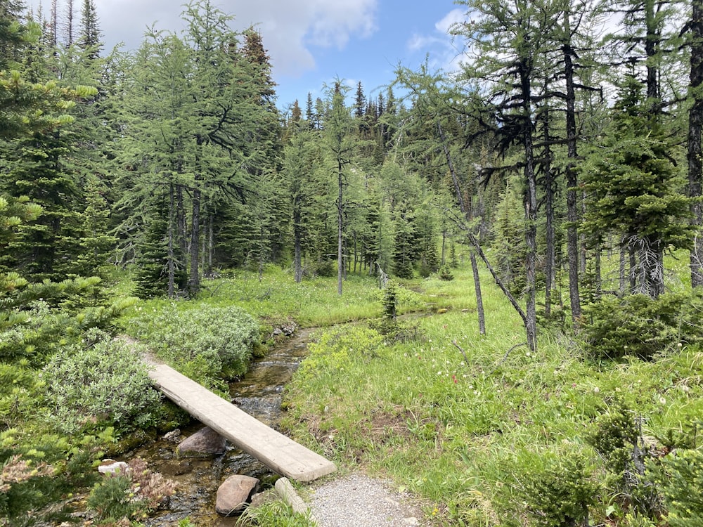 a wooden bench sitting in the middle of a forest