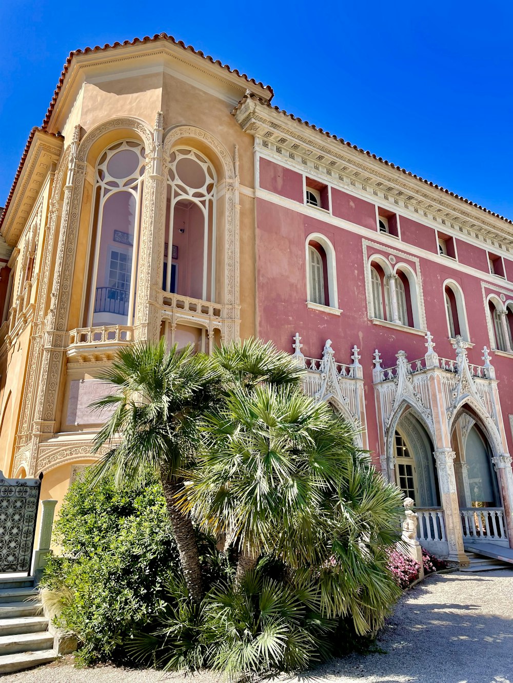 a building with a palm tree in front of it