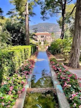 a garden with a water feature in the middle of it