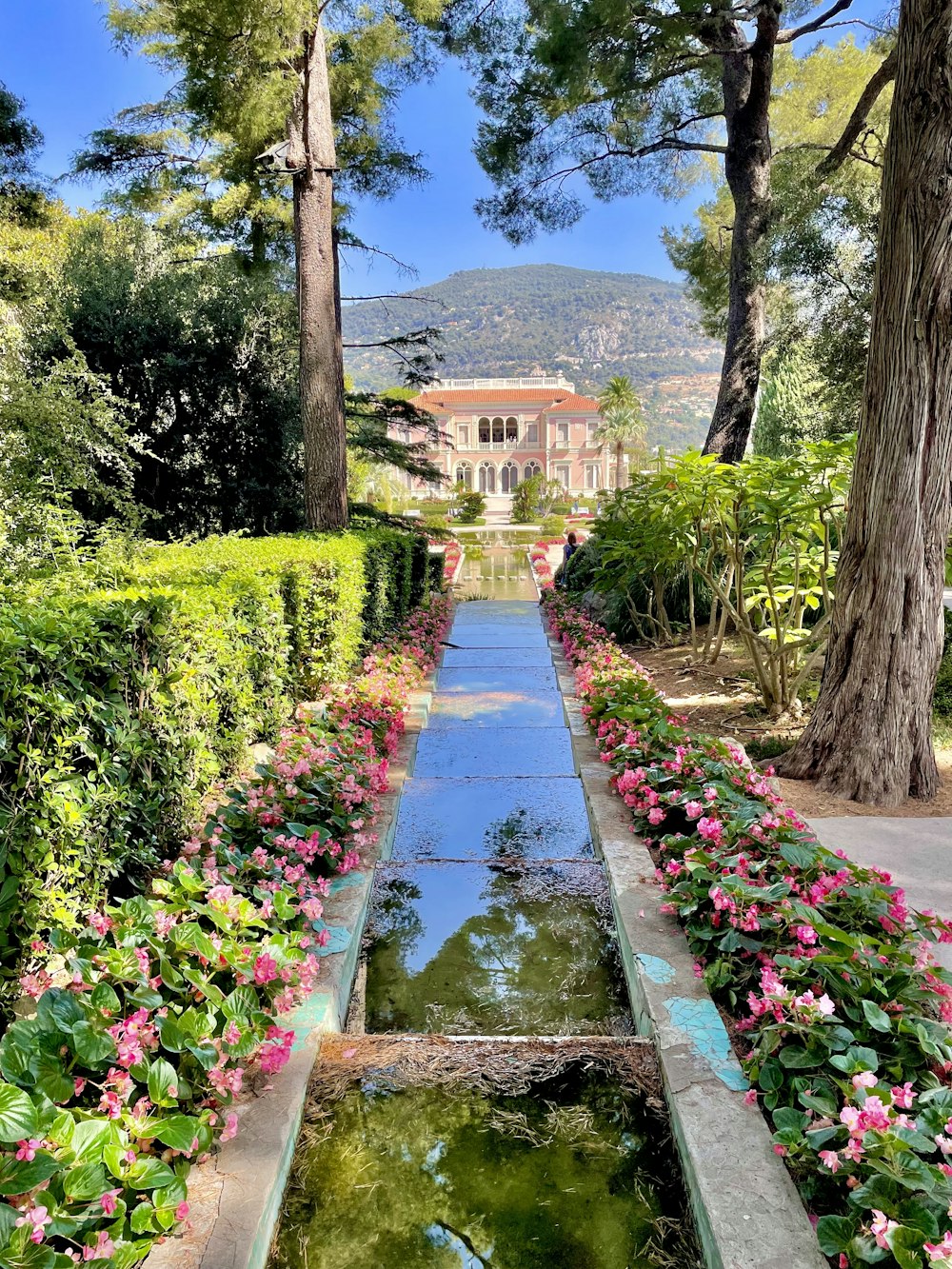 a garden with a water feature in the middle of it