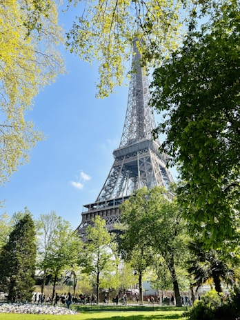 A picturesque view of the Eiffel Tower surrounded by blooming flowers.