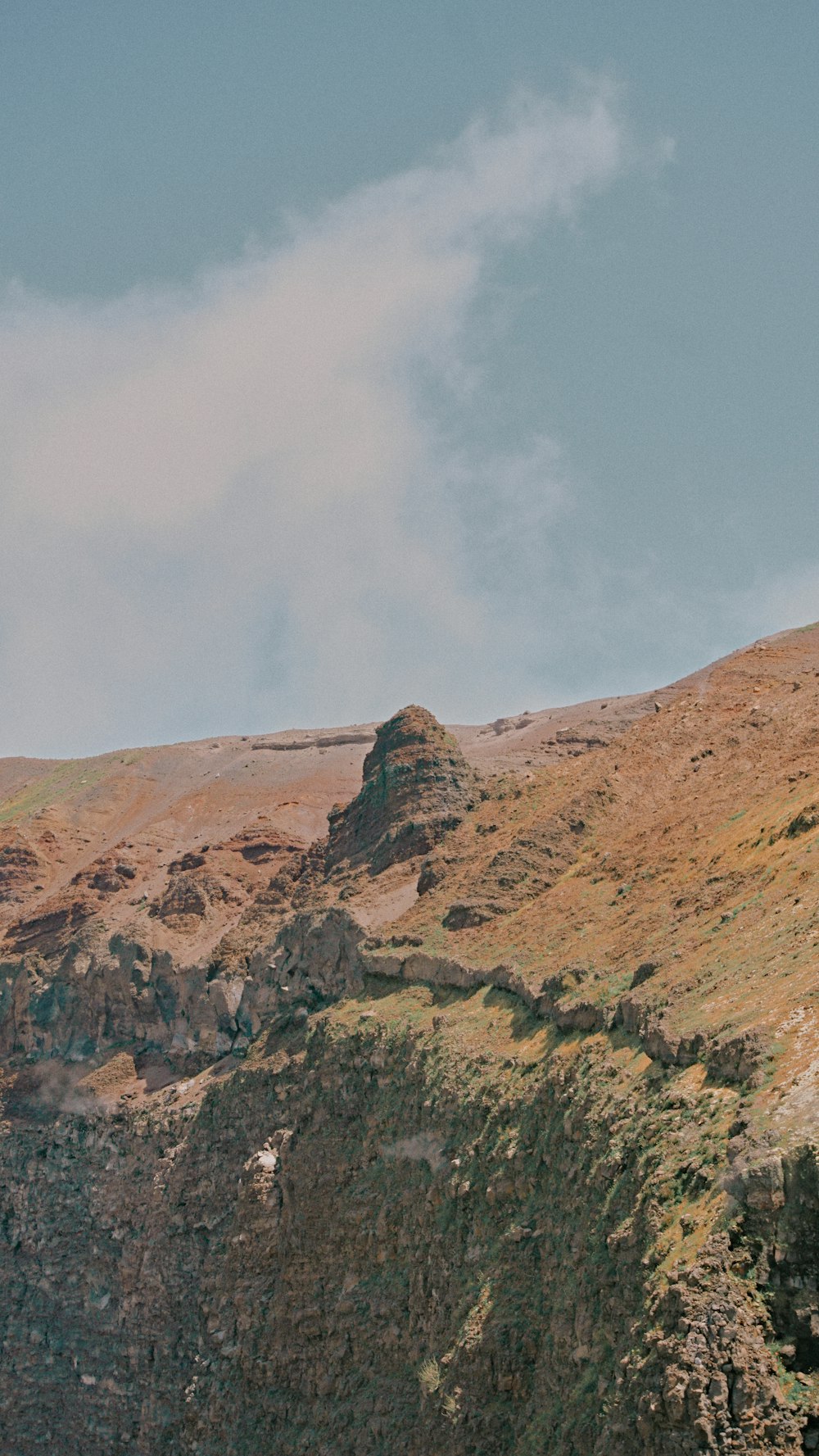 a sheep standing on top of a lush green hillside