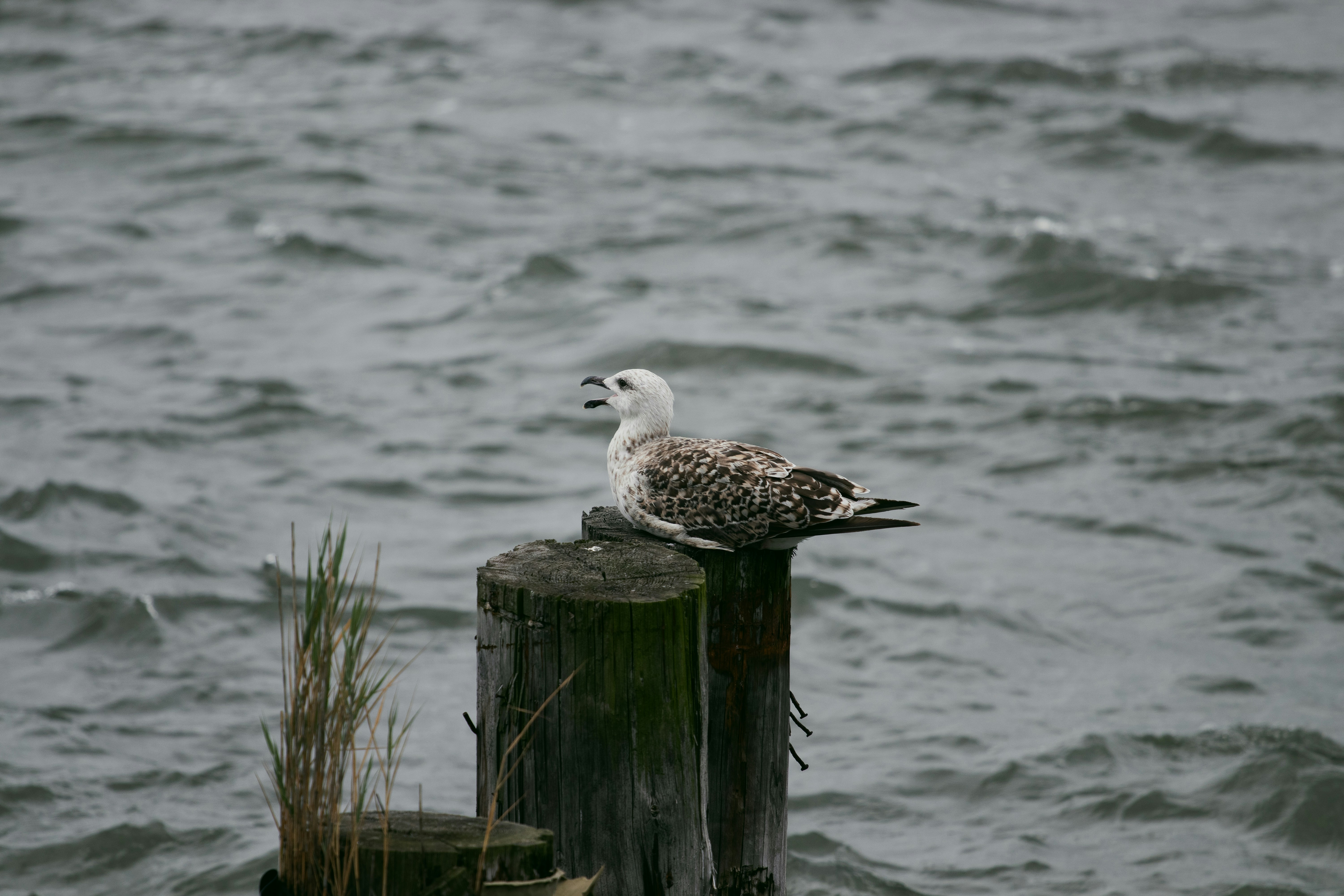 Photo by orian_lev_ari1