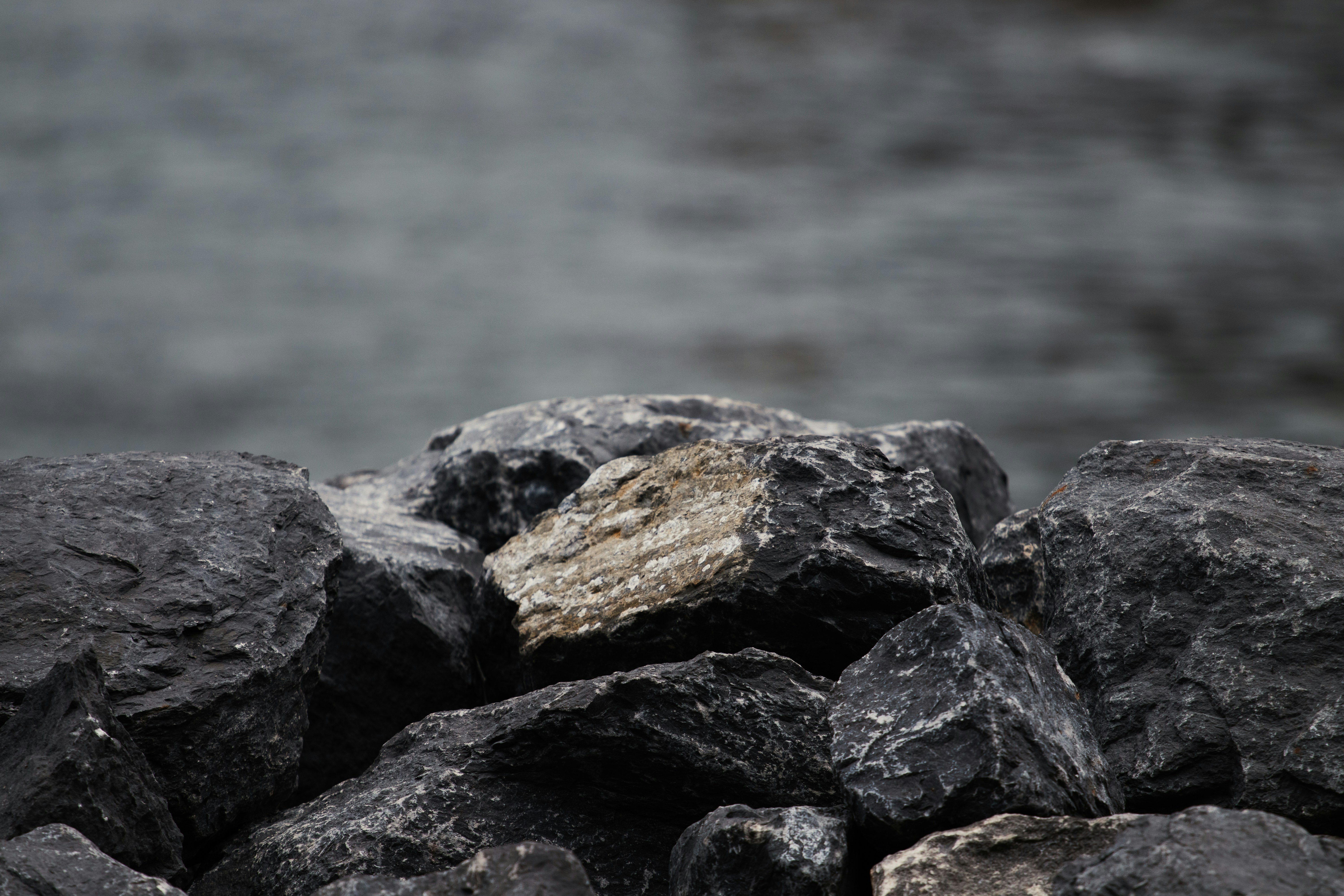 Photo by orian_lev_ari1