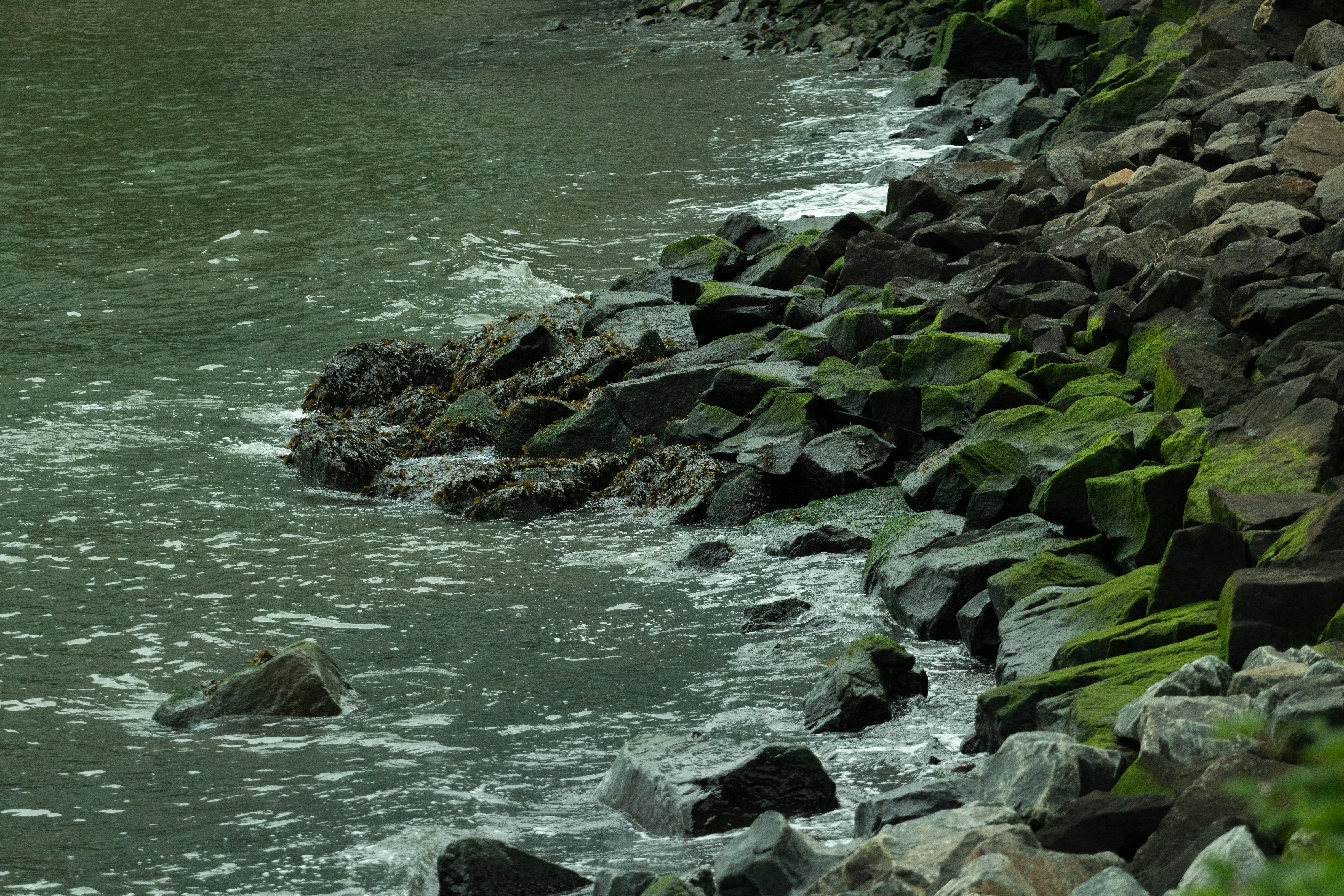 Photo by orian_lev_ari1