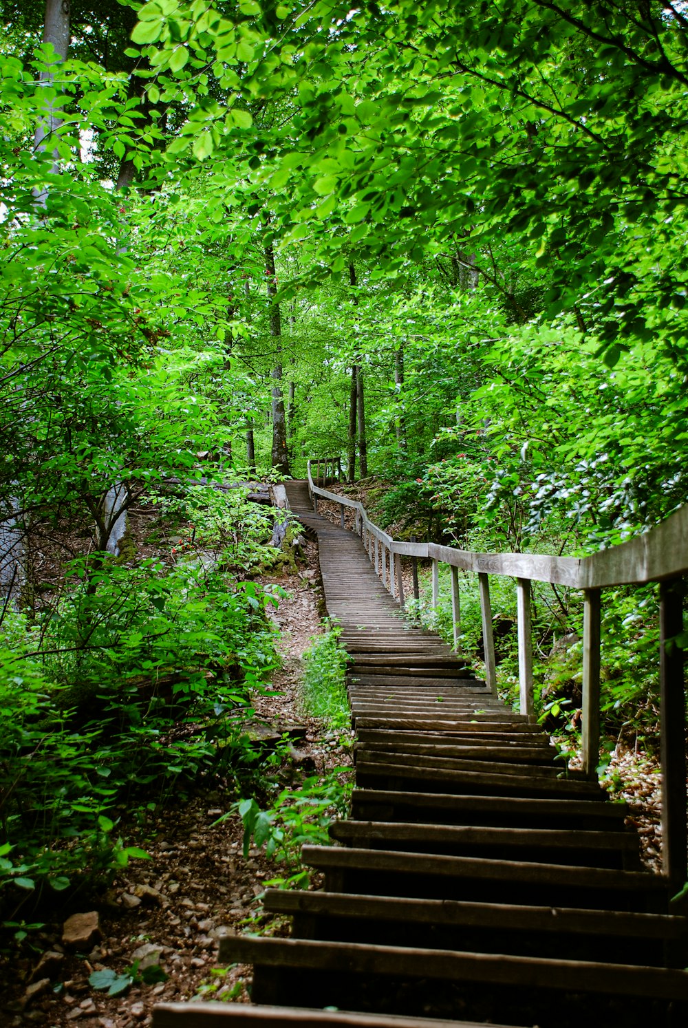 a set of stairs leading up to the top of a hill