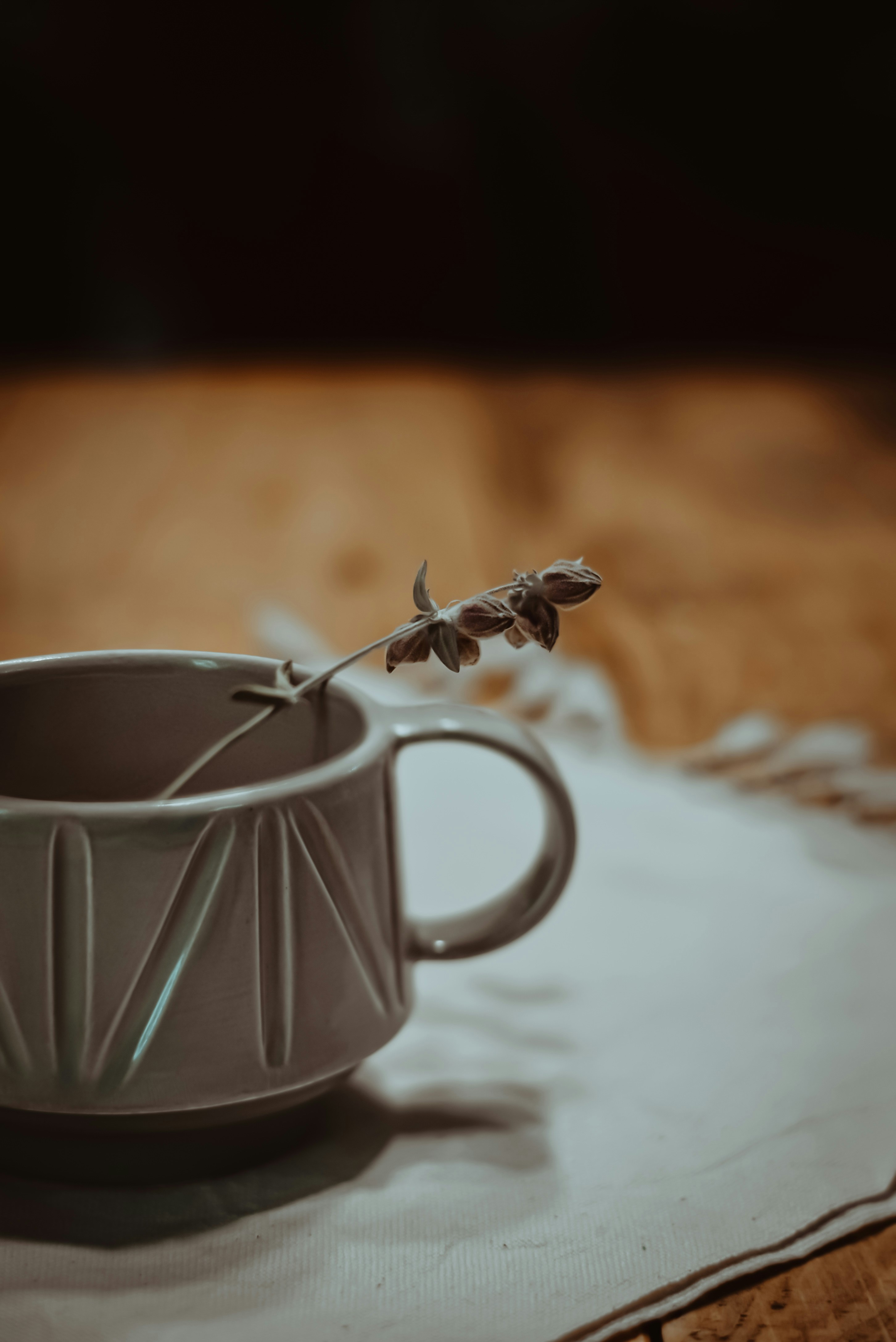 Photo by nasimkeshmiri