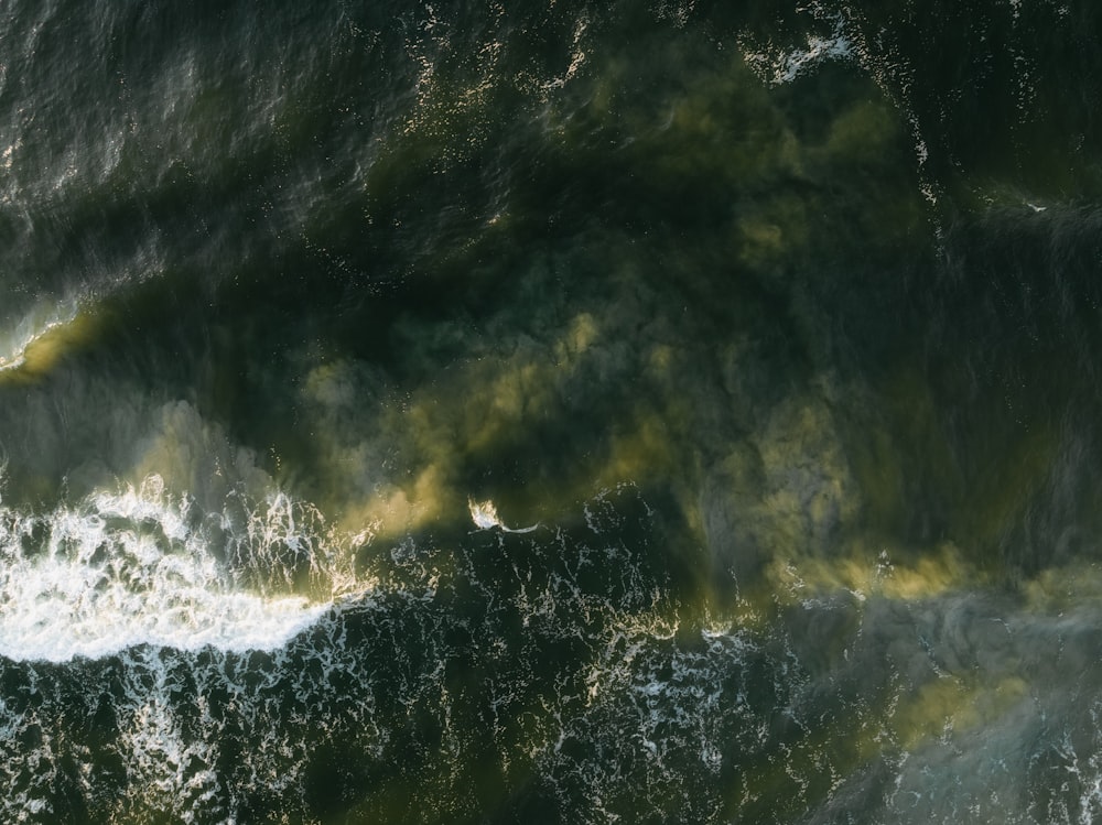 a large body of water with green algae on it