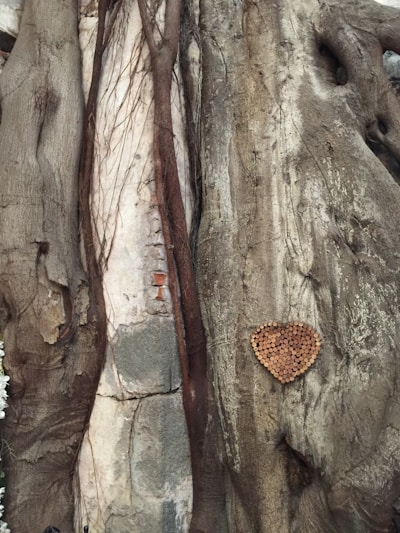 A large, textured tree trunk with branches and roots intertwining. A heart shape made of small circular wooden pieces is affixed to the right side of the trunk.