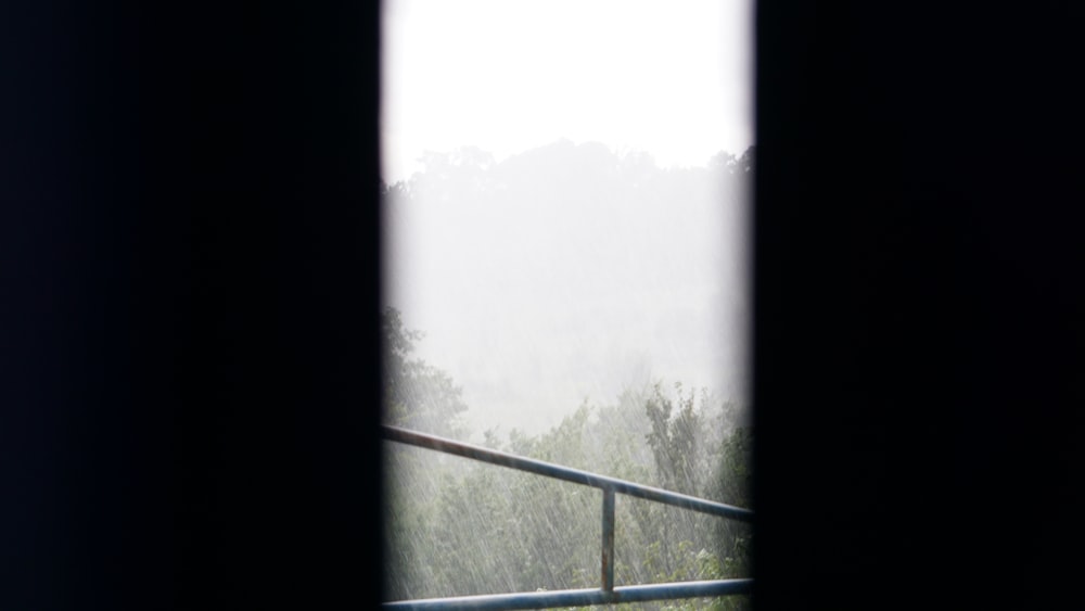 an open window with a view of a forest