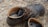 A pair of worn, black work boots with yellow and black laces are resting on a rough, gravelly surface. The insides of the boots show the yellow lining and the dotted insoles.