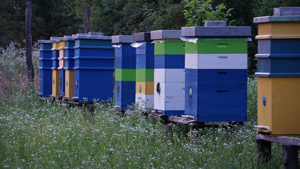 a row of beehives sitting next to each other in a field