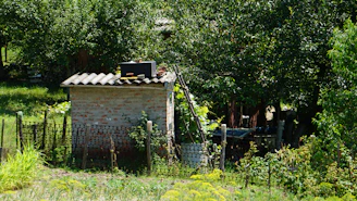 A rustic outdoor shelter surrounded by greenery for small pets.