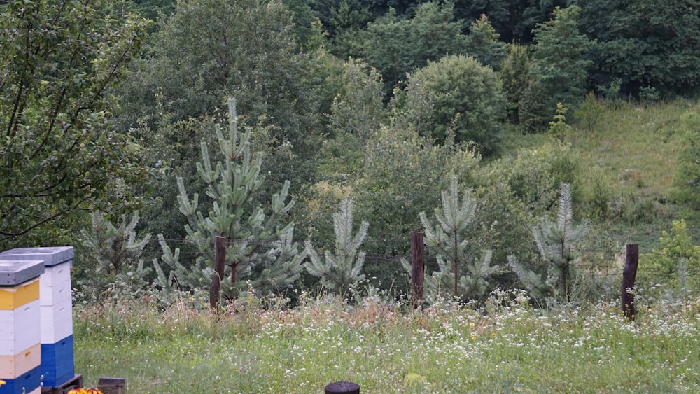 ein Bienenstock auf einem Feld mit Bäumen im Hintergrund