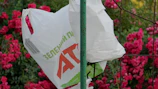 A vibrant green himgreen carry bag hanging on a rustic wooden fence surrounded by plants.