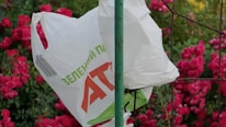 A white plastic bag with printed green and red text hangs on a green metal pole. The background features vibrant pink flowers and green foliage.