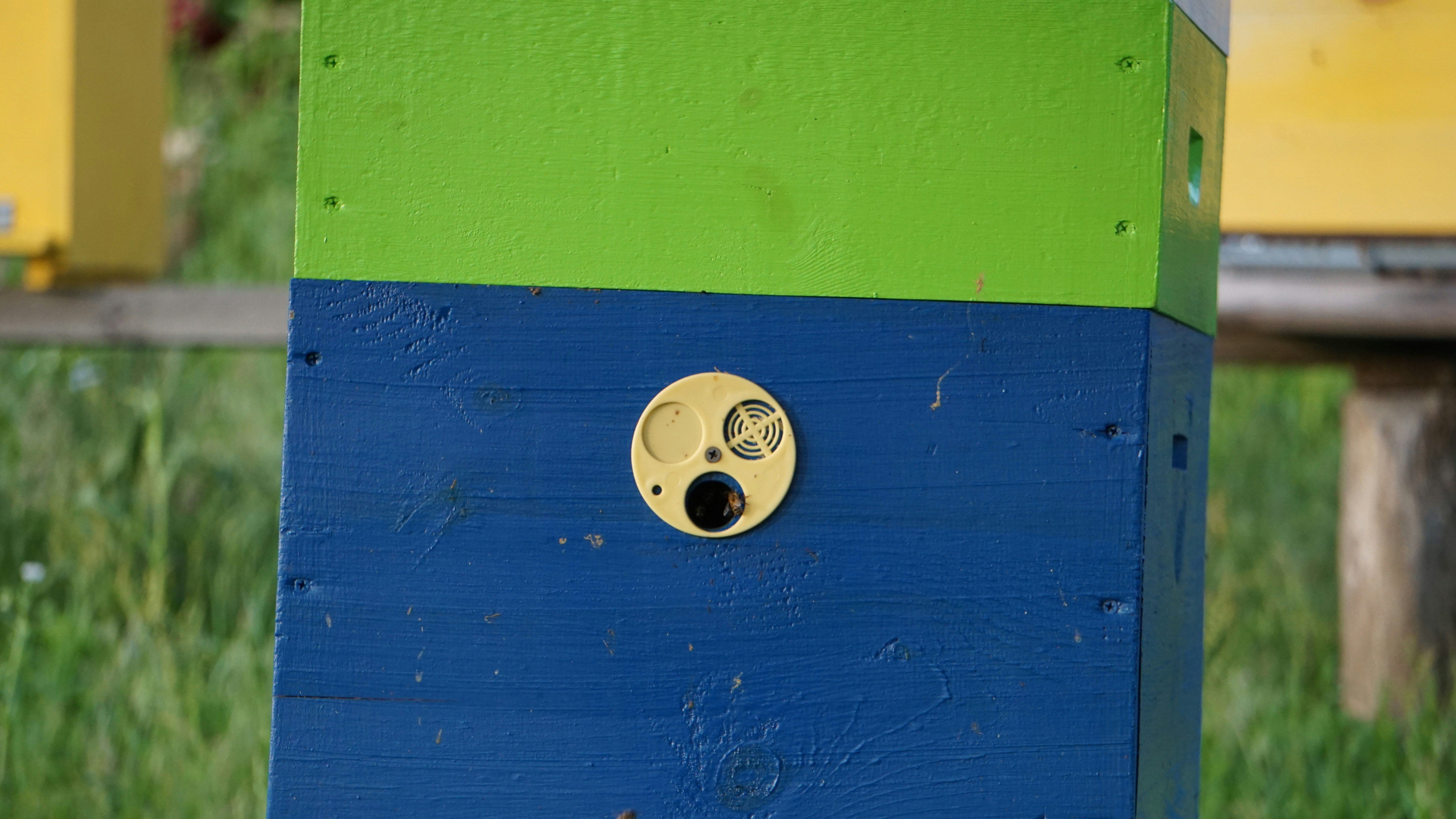 a close up of a blue and green post