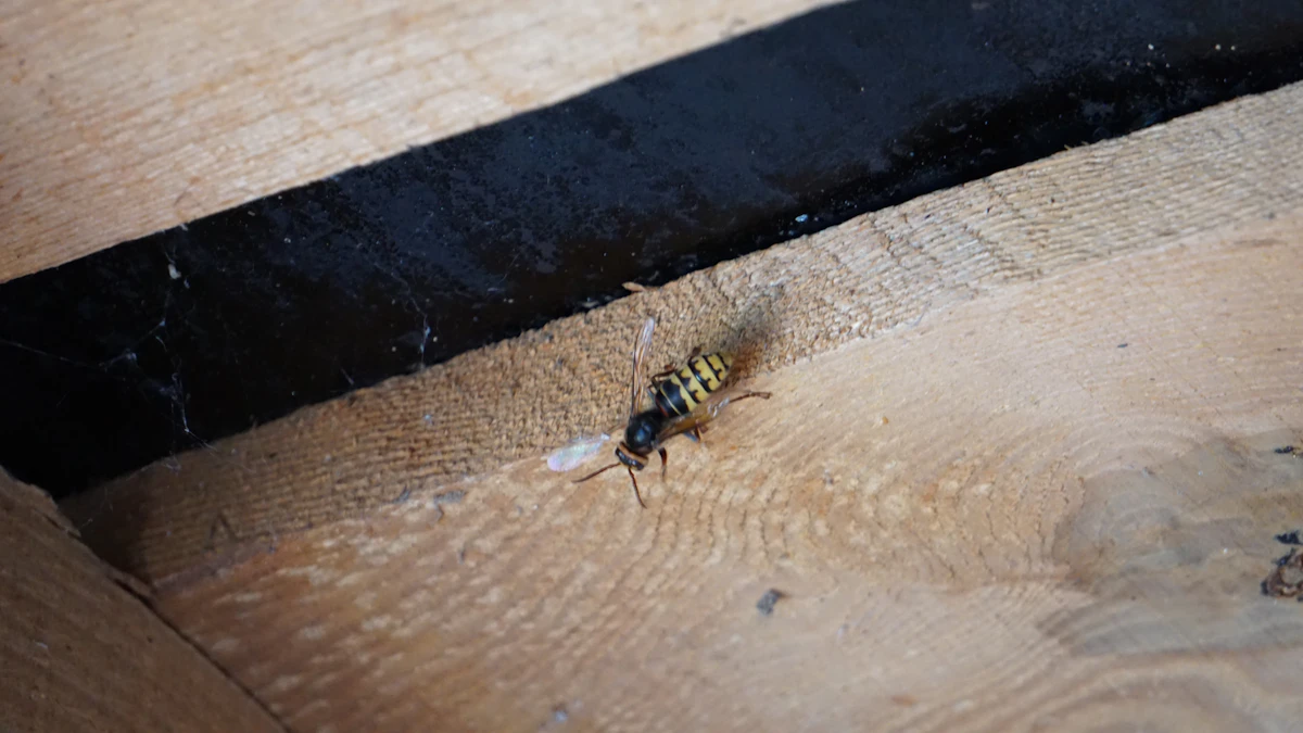5 Best Intake Form Tools for Pest Control Companies 2026