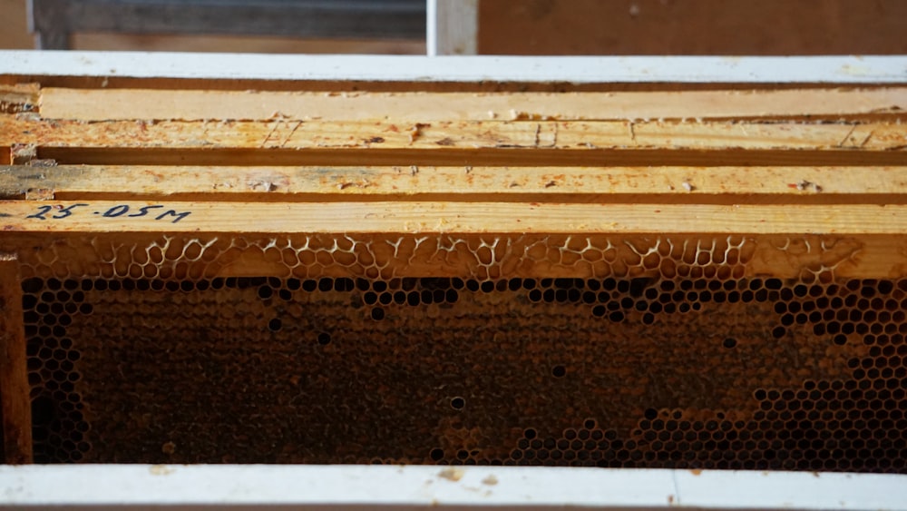 a close up of a beehive with bees in it