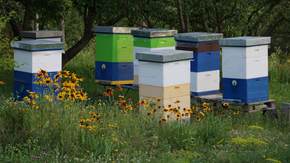 a bunch of beehives that are in the grass