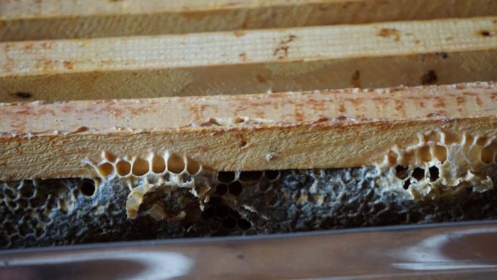 a close up of a beehive with honey combs