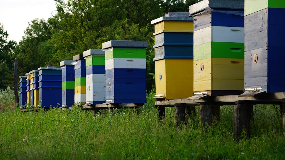 a row of beehives sitting on top of a wooden platform