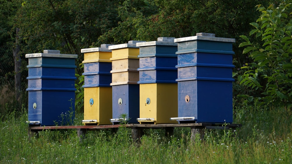 a row of beehives in a field of tall grass