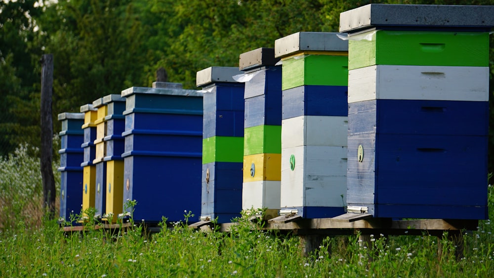 a row of beehives sitting on top of a lush green field