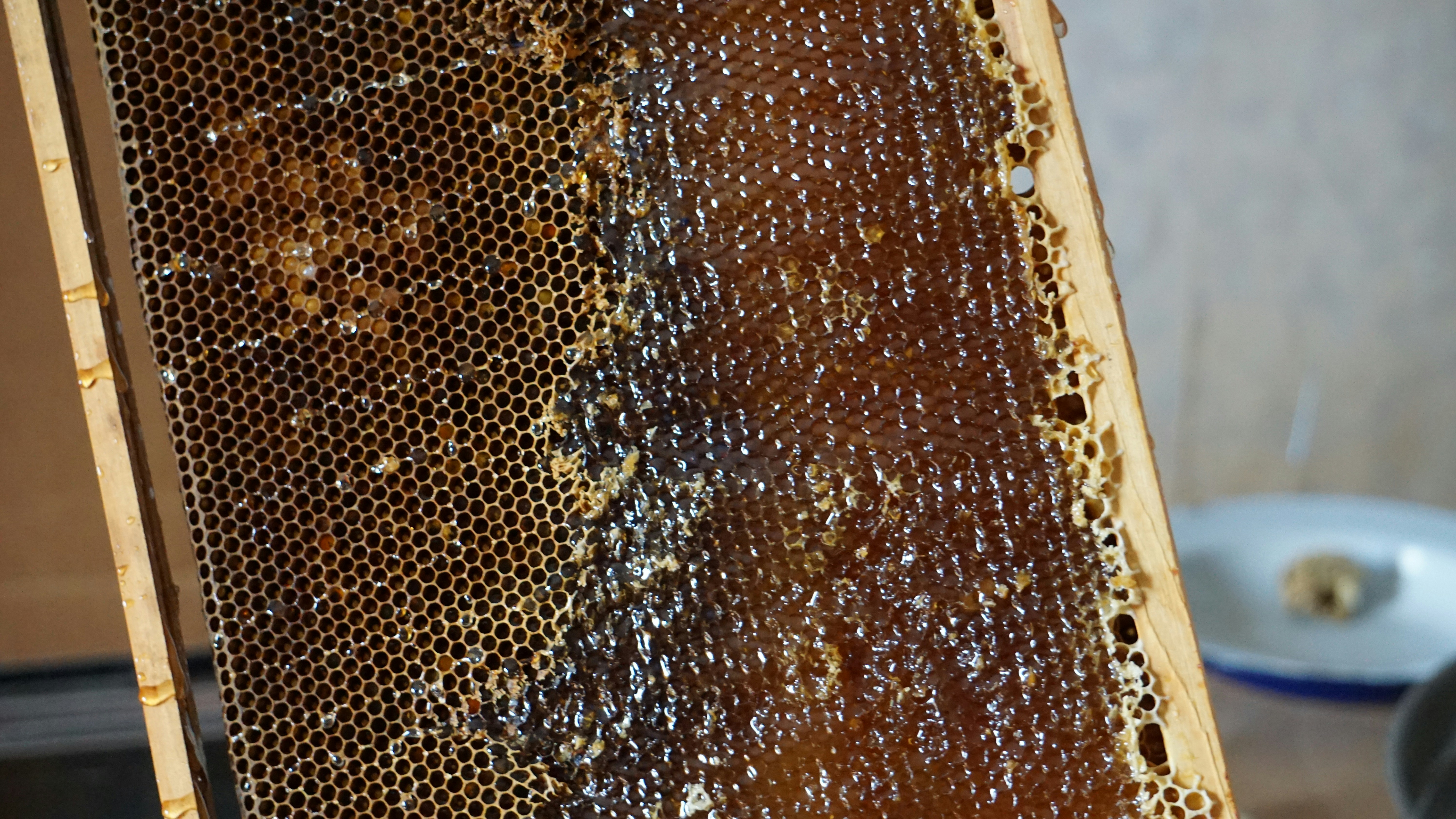 honeycomb