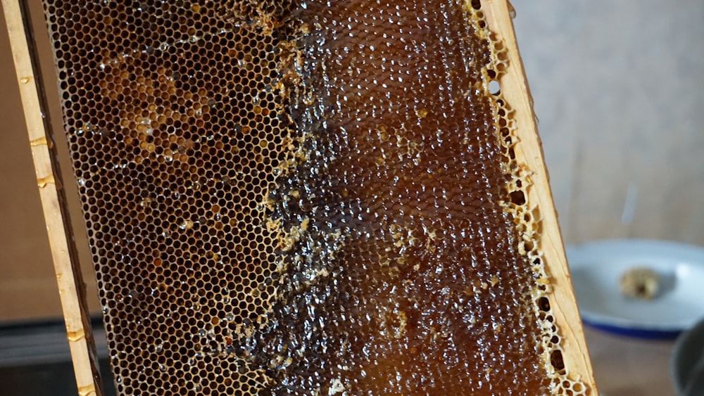 a close up of a beehive with lots of honey on it