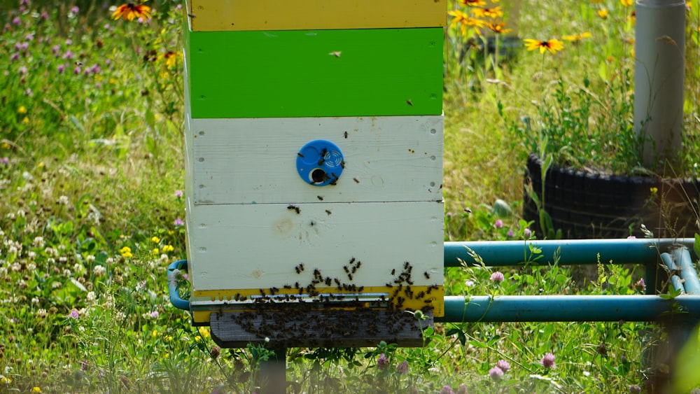 a beehive in the middle of a field of flowers