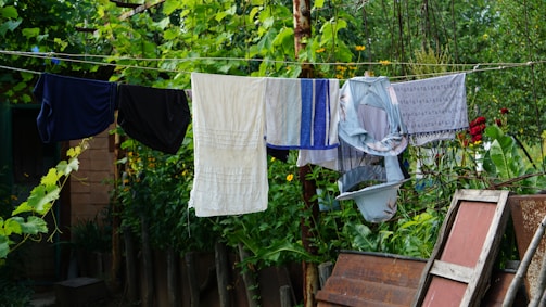 Clothes hang on a line outdoors, with surrounding lush green foliage and a garden backdrop. Several articles, including towels and fabric pieces, are draped over the line under natural light. The setting is rustic, with elements like wooden and metal structures, suggesting a backyard or countryside environment.