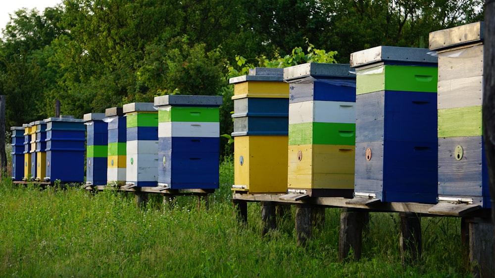 a row of beehives sitting on top of a lush green field