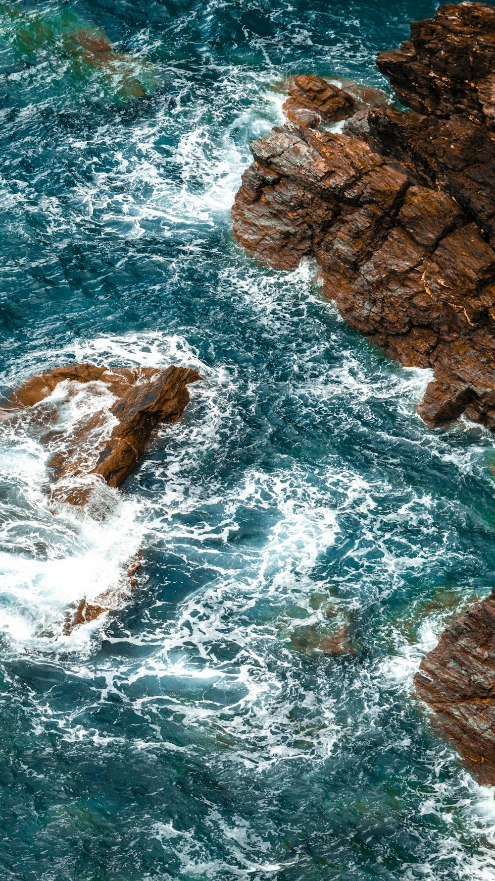 a bird sitting on top of a rock next to the ocean