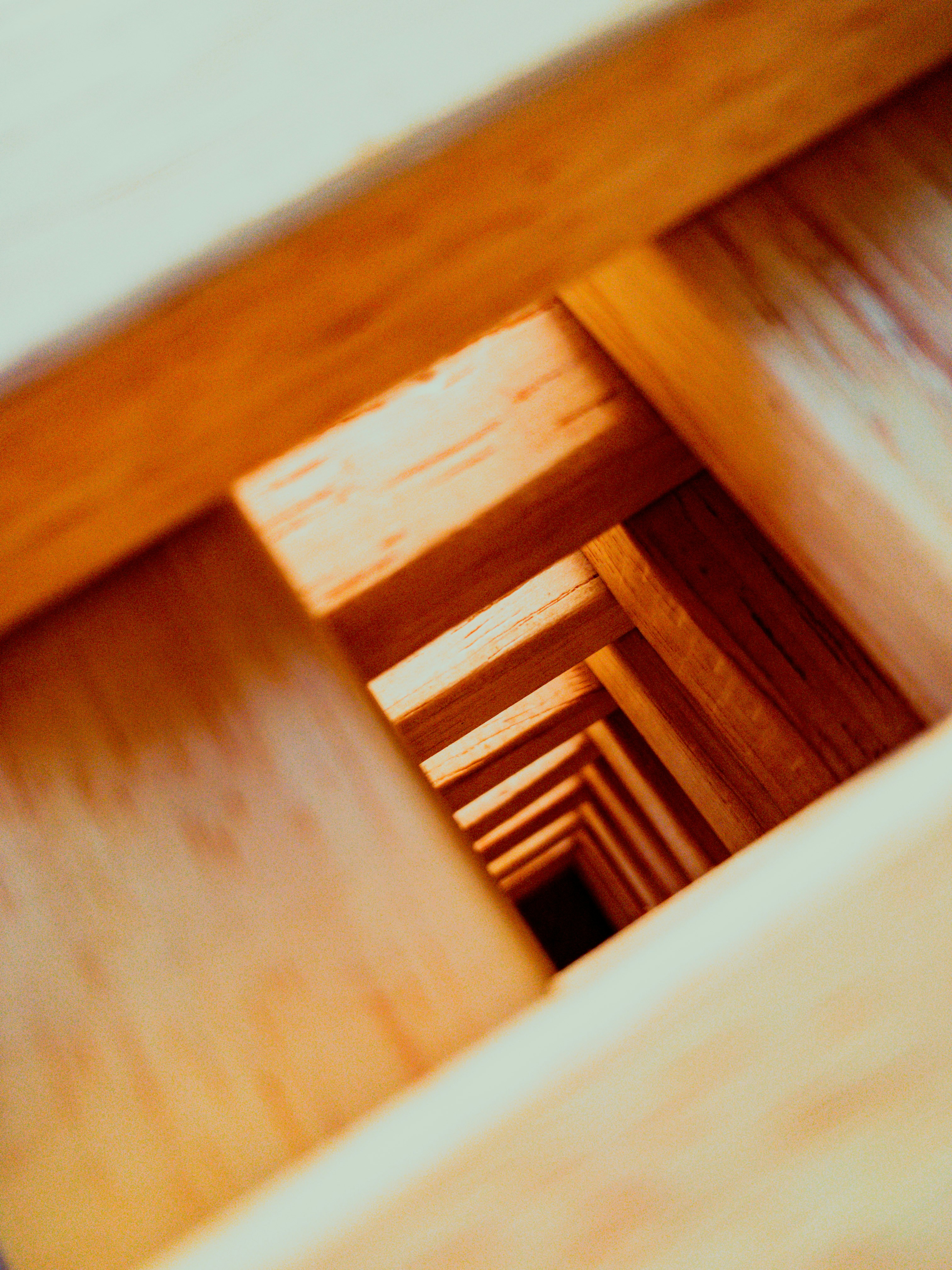 Photo by david_dintsh