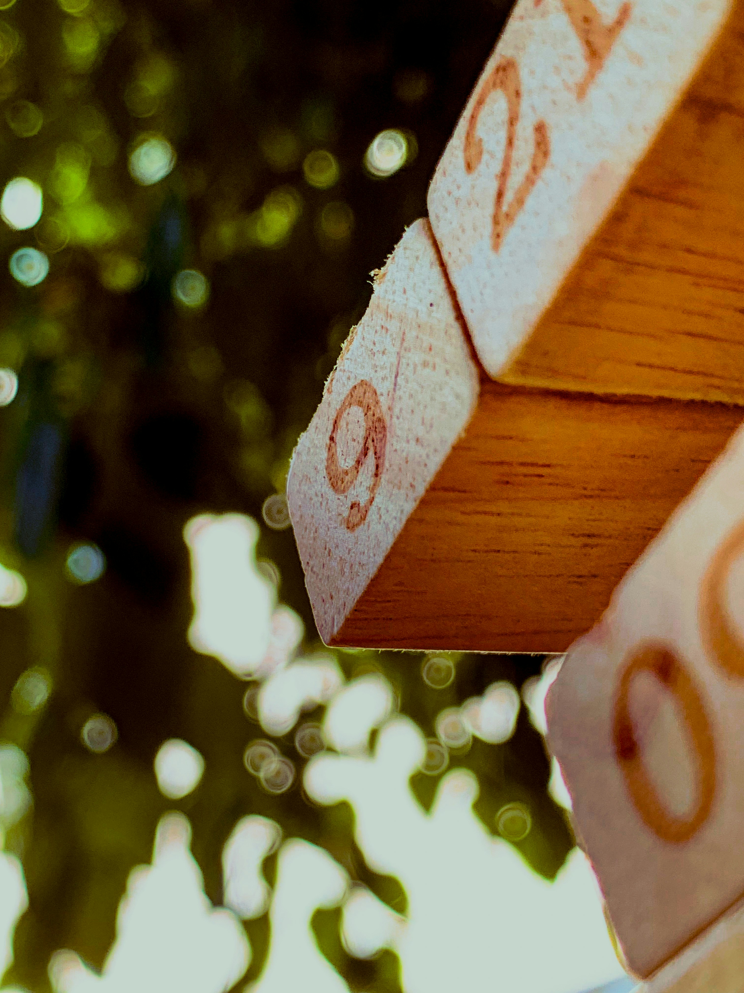 Photo by david_dintsh