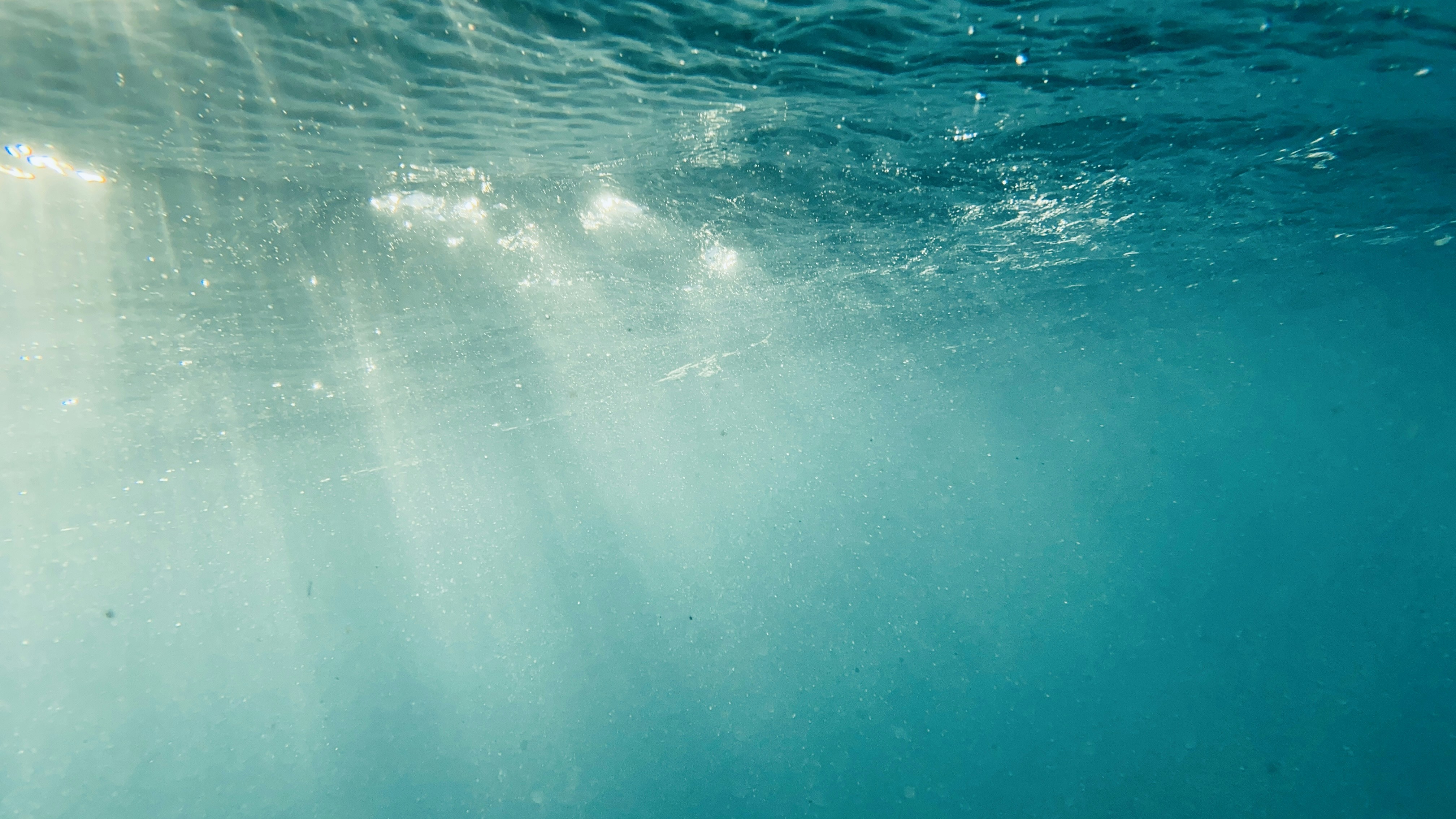 Photo by onikyoukan747