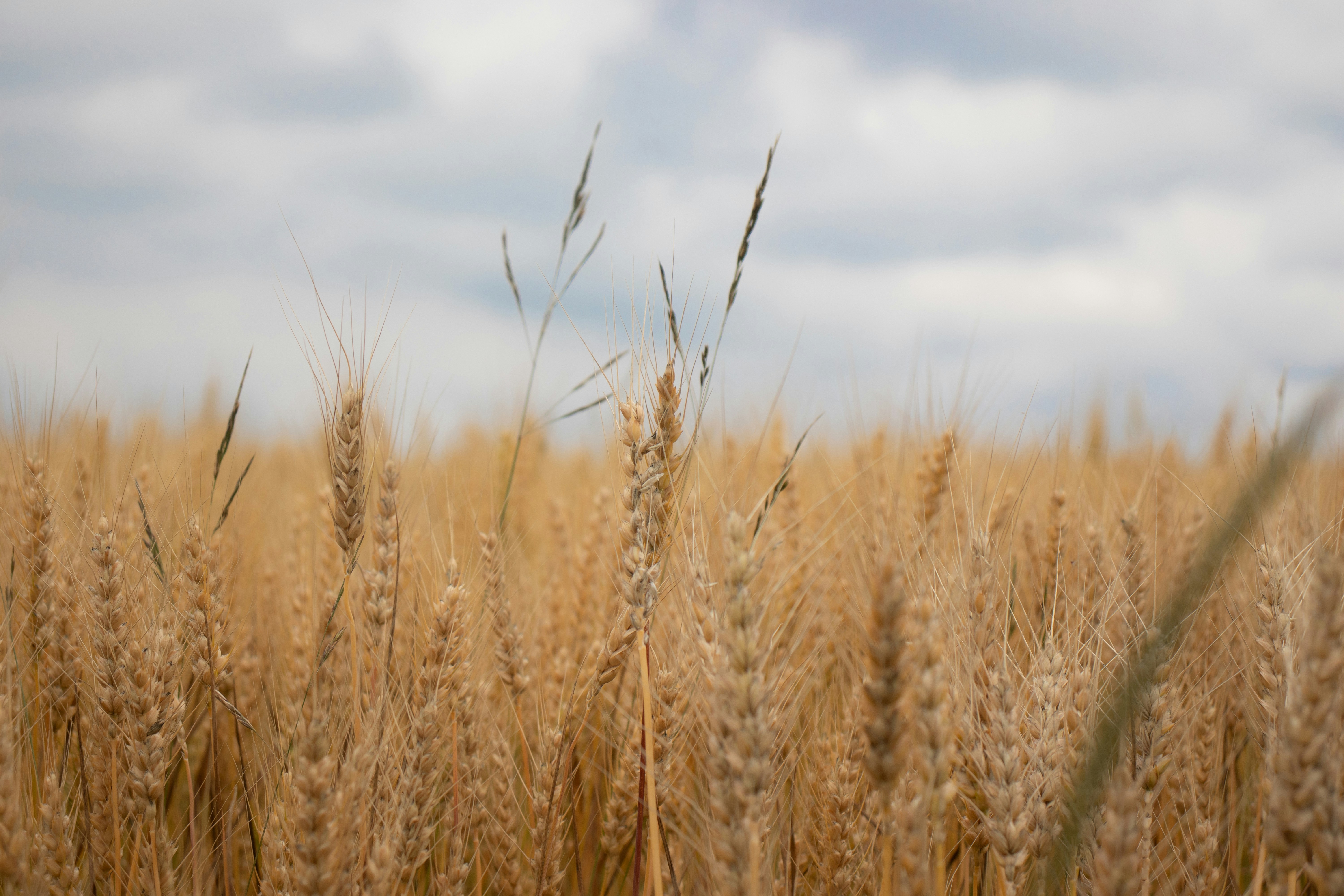 Photo by sinabahar76