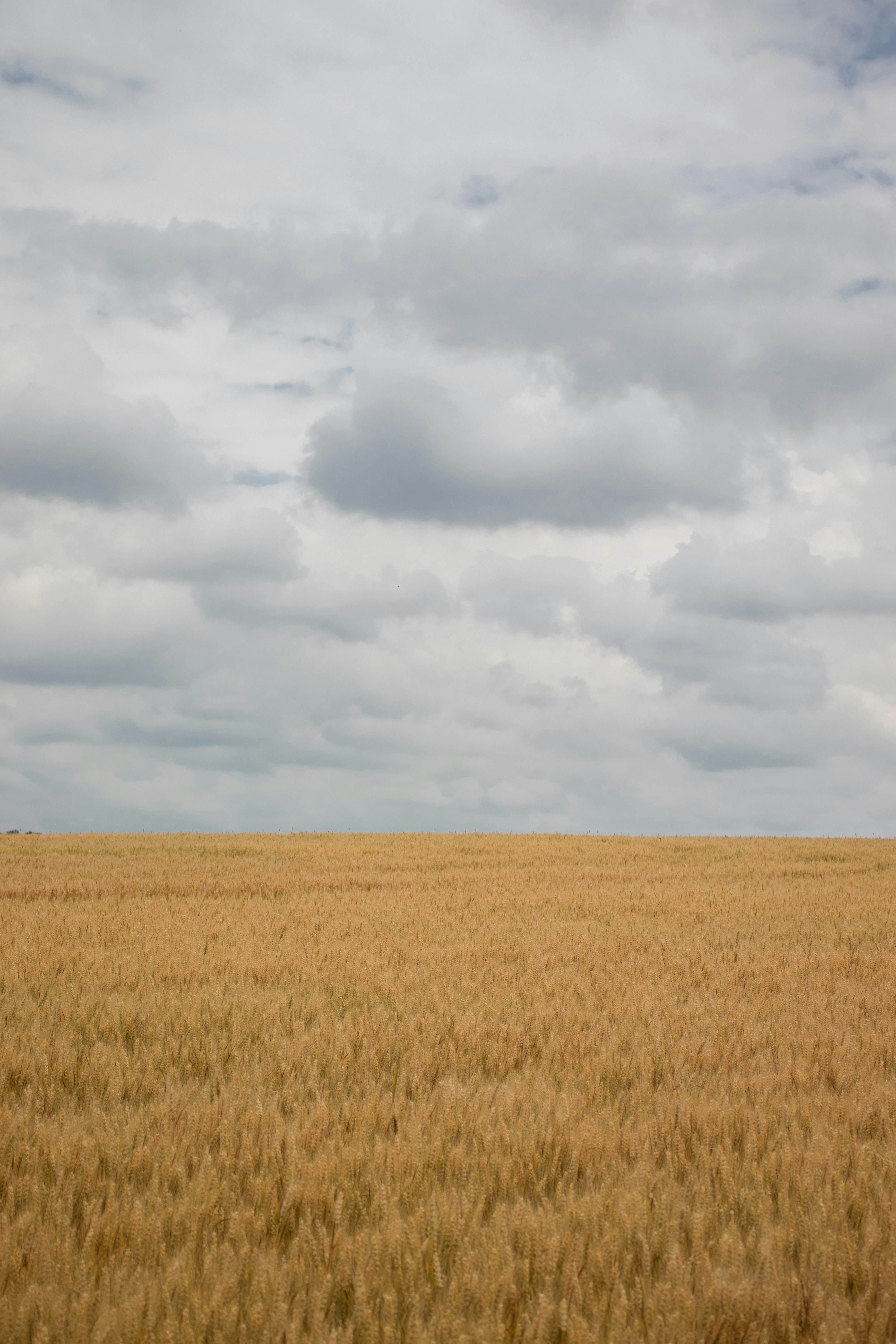 Photo by sinabahar76