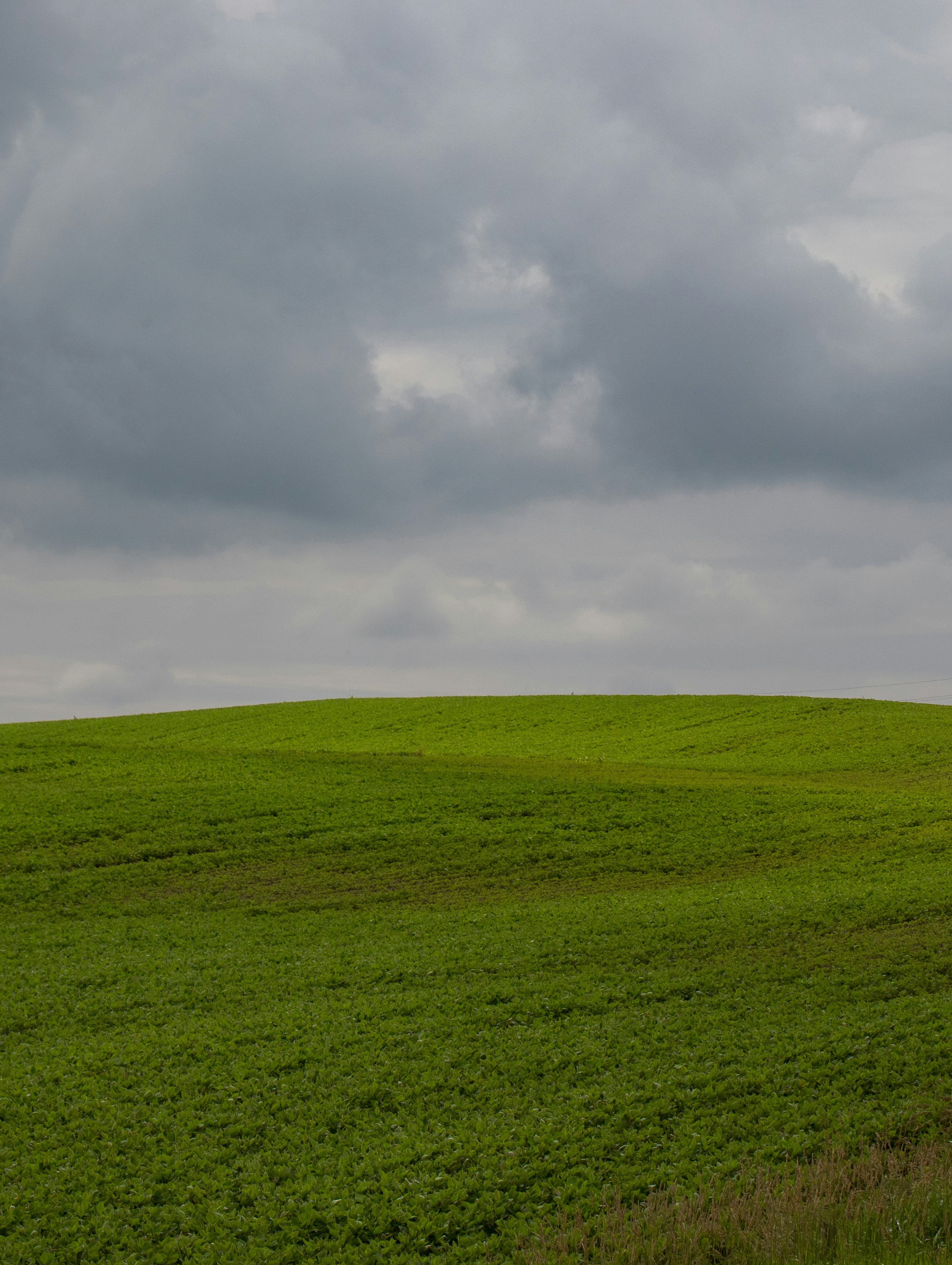 Photo by sinabahar76