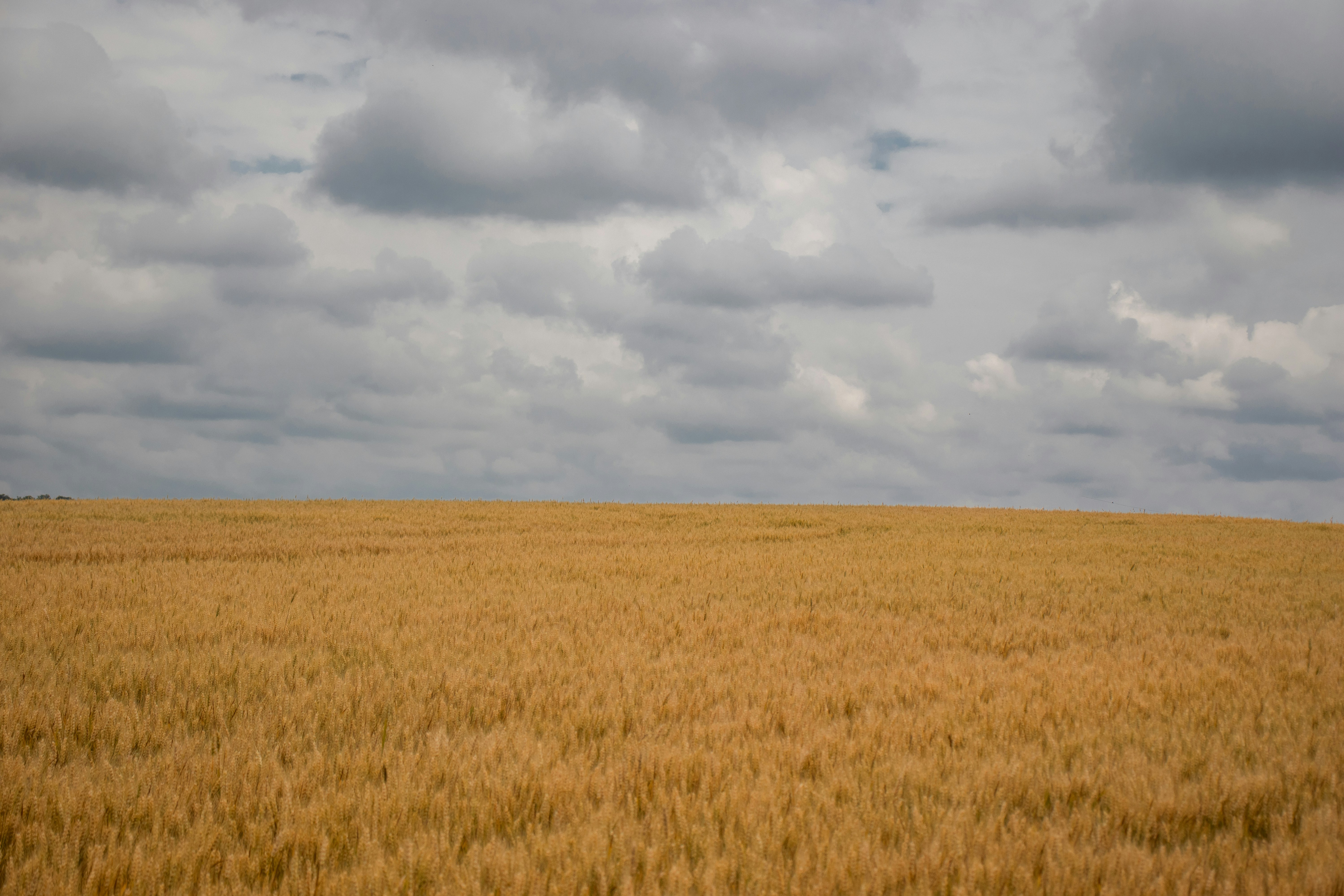 Photo by sinabahar76