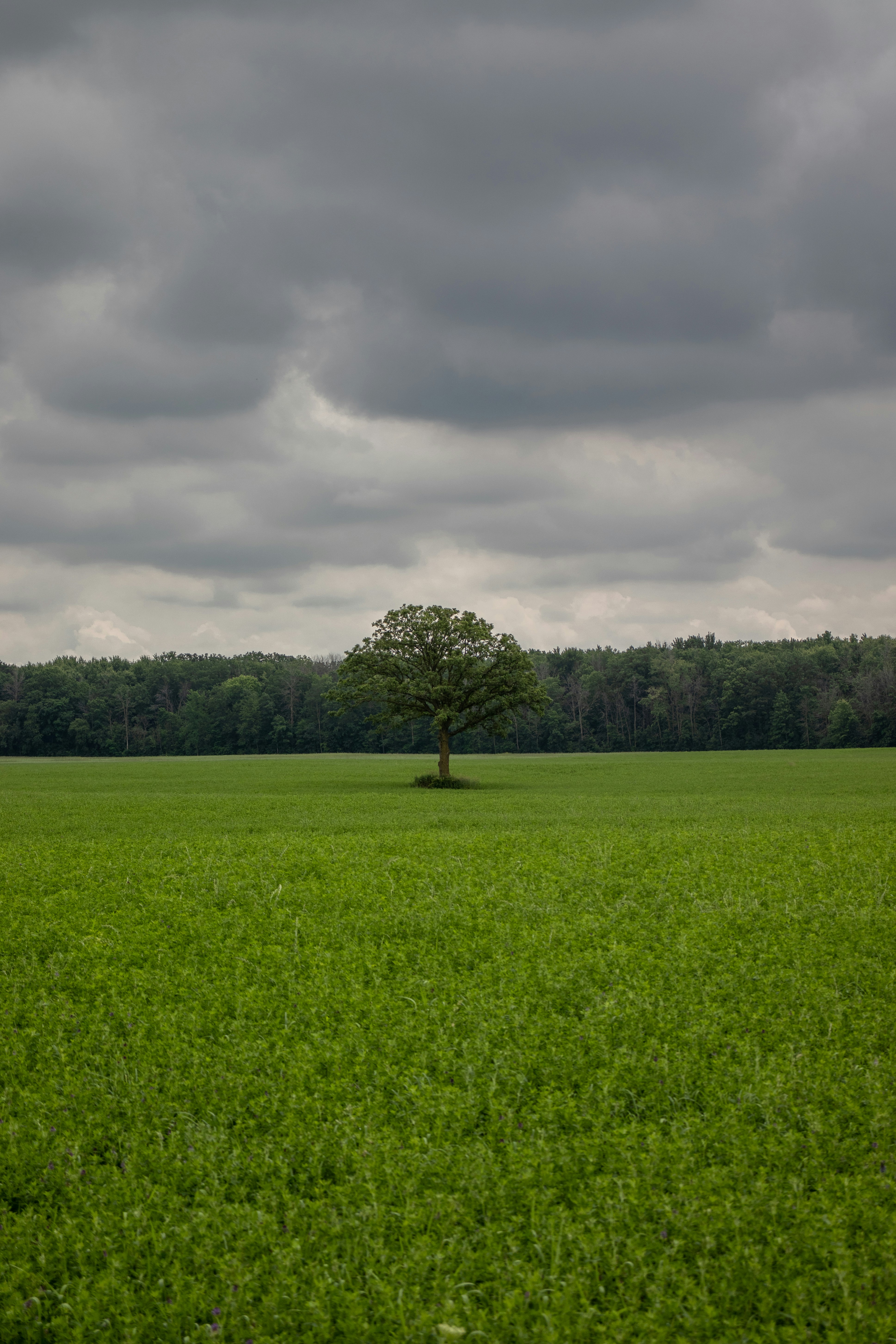 Photo by sinabahar76